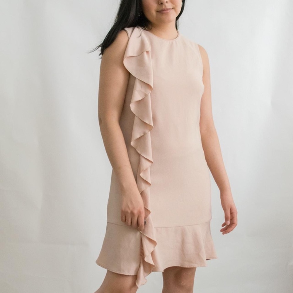 Zara dress